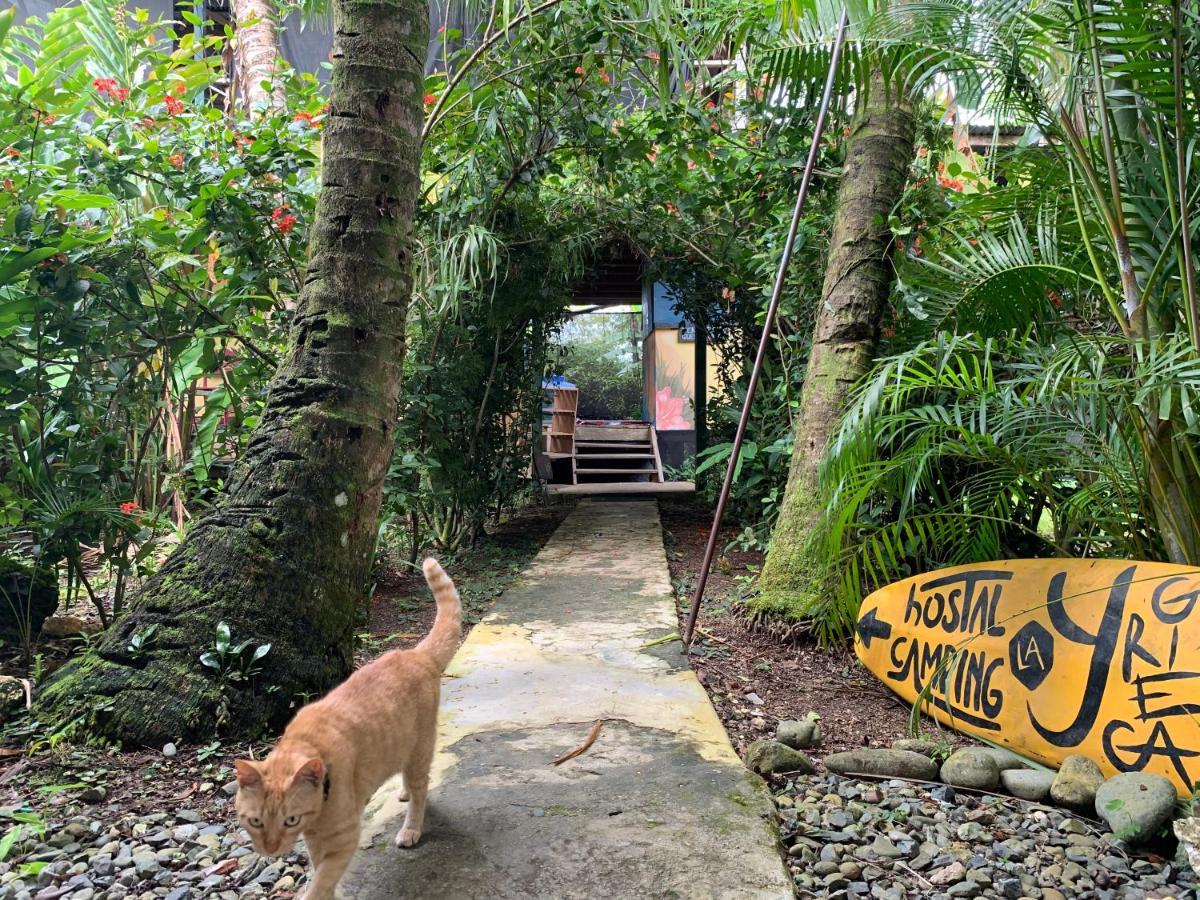 Surf Camp Hotel Bocas del Toro Exterior photo