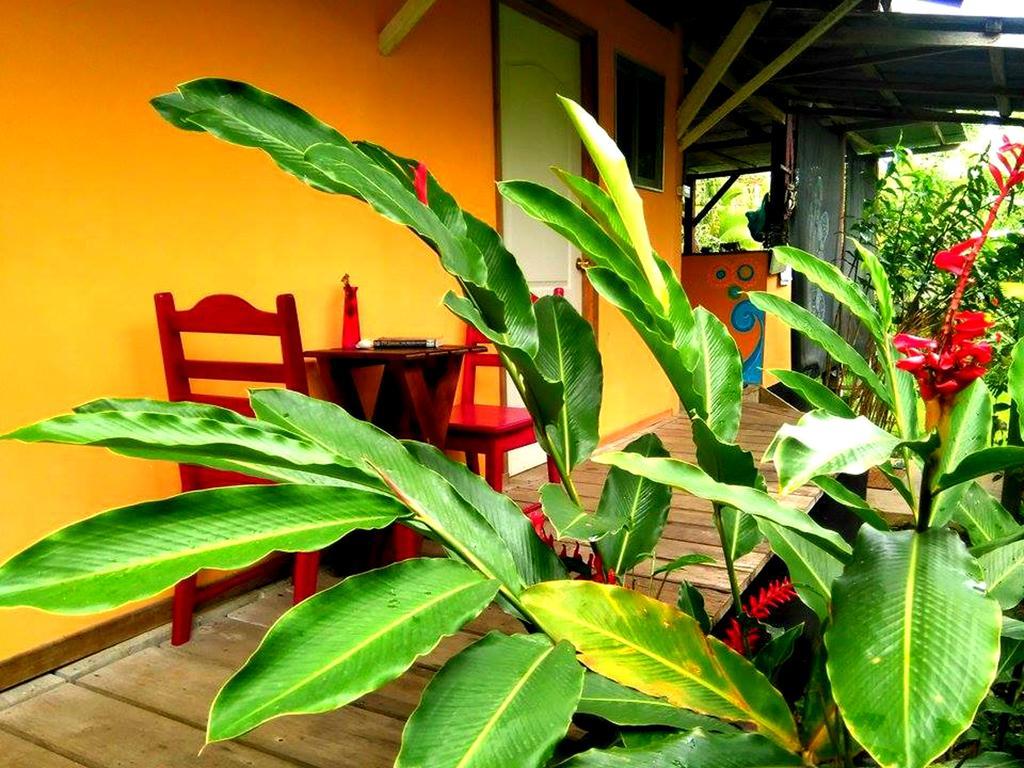 Surf Camp Hotel Bocas del Toro Exterior photo