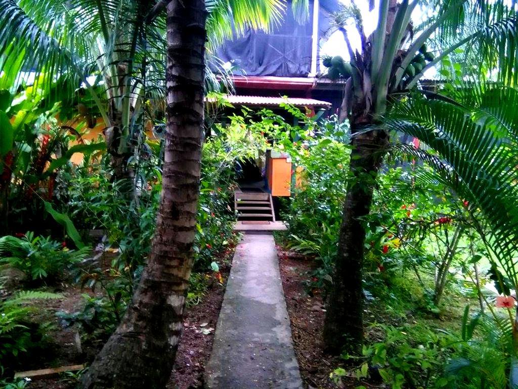 Surf Camp Hotel Bocas del Toro Exterior photo